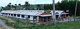 Panoramas-20