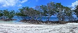 Panoramca-12