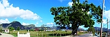 Panoramsa-14