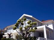 IMG_7118