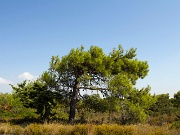 IMG_7331