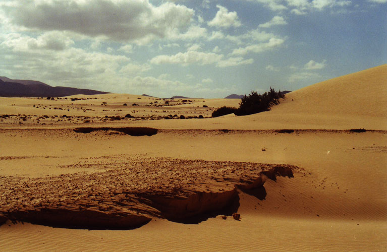 Fuerta0014.jpg