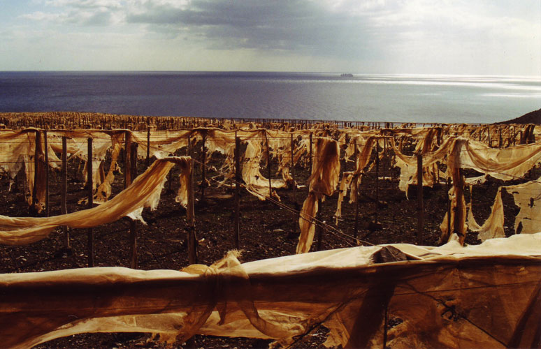 Fuerta0030.jpg