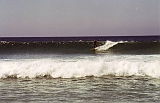 Fuerta0035