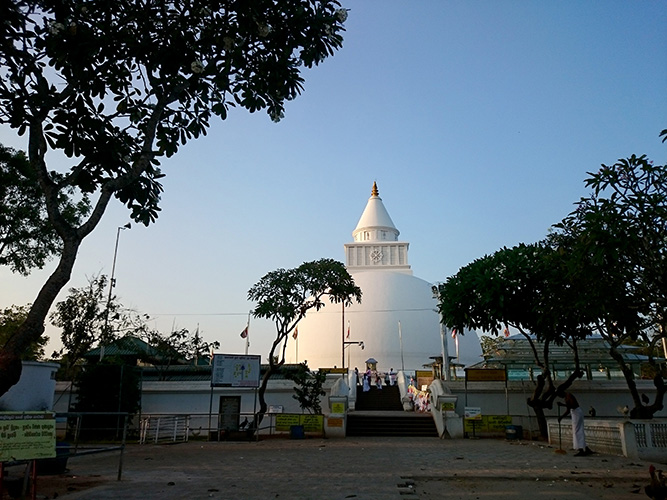 DSC_0021.jpg