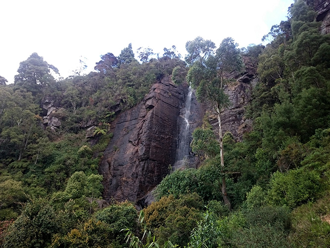 DSC_0606.jpg