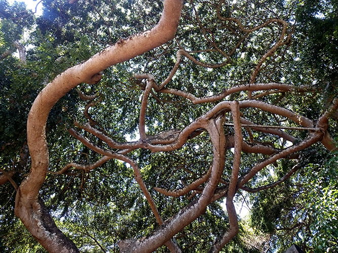 DSC_0691.jpg