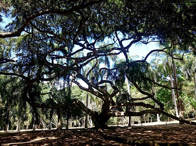 DSC_0712.jpg