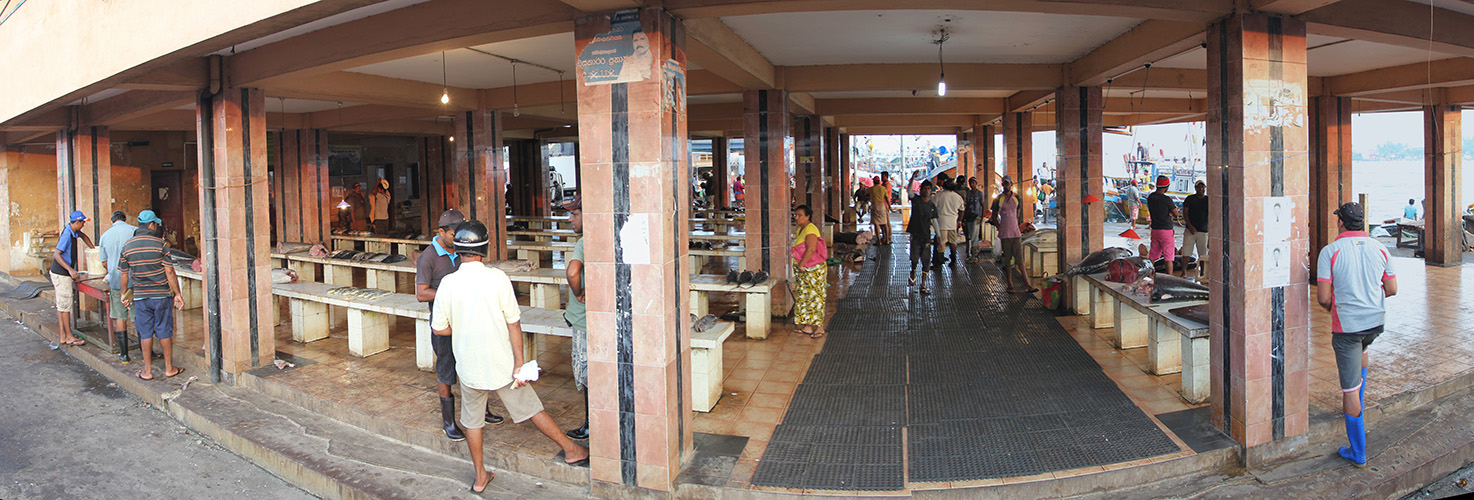 fishmarket.jpg