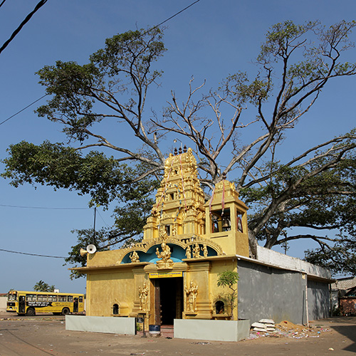 pict34502.jpg