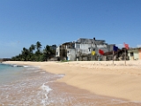 IMG_2361