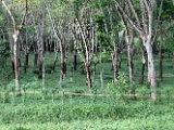 IMG_2461