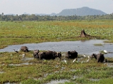 IMG_2645