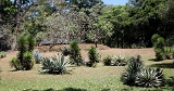 IMG_2875