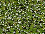 IMG_2937