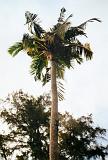 P1080395
