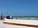 IMG_0809
