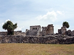 IMG_1262