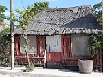 IMG_1553