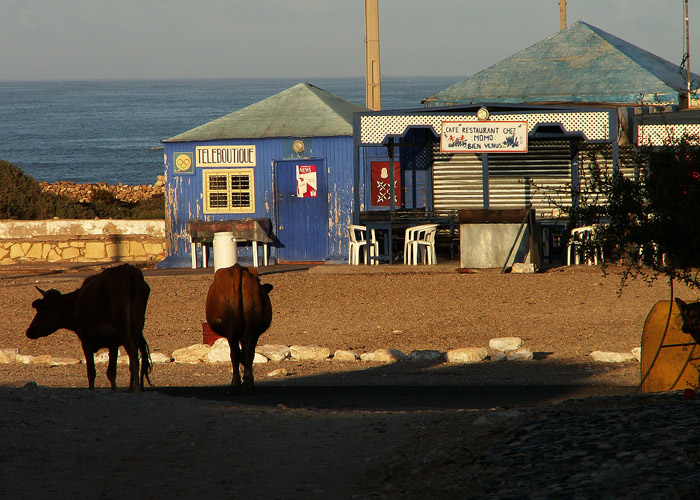 PICT0105.jpg