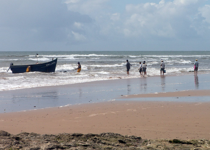PICT0146.jpg