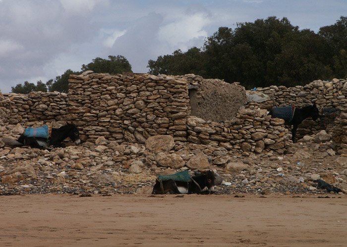PICT0148.jpg