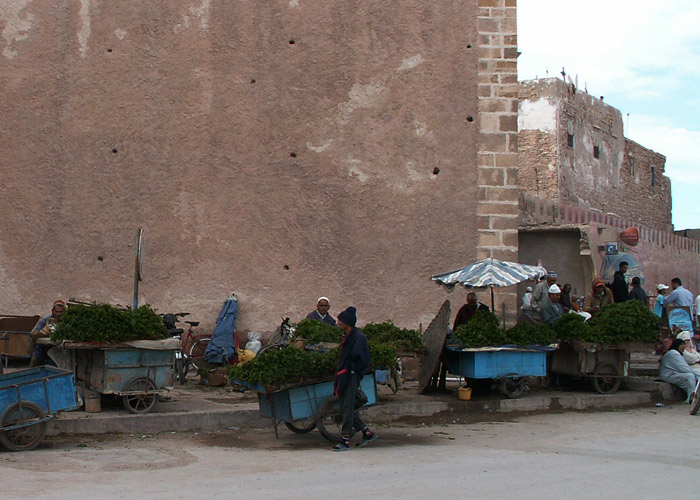 PICT0176.jpg
