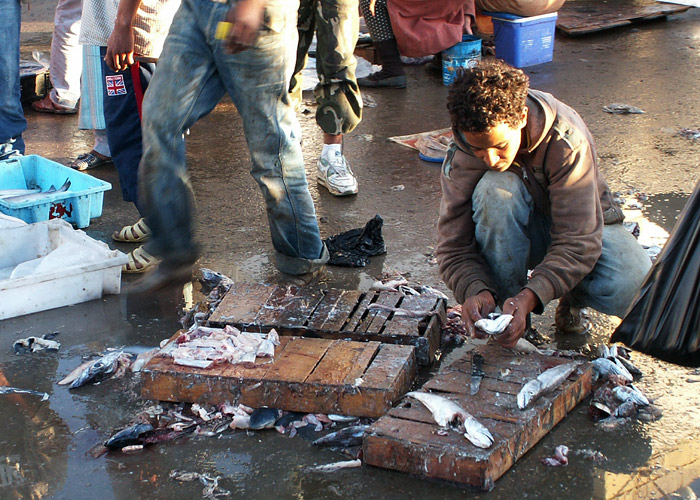 PICT0207.jpg