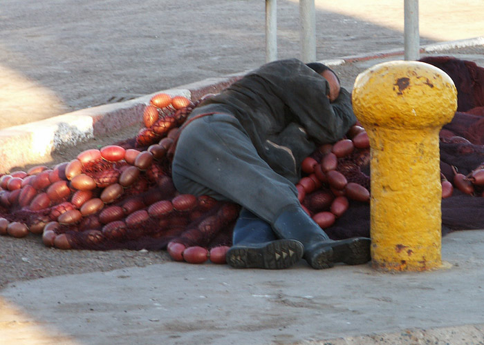 PICT0217.jpg