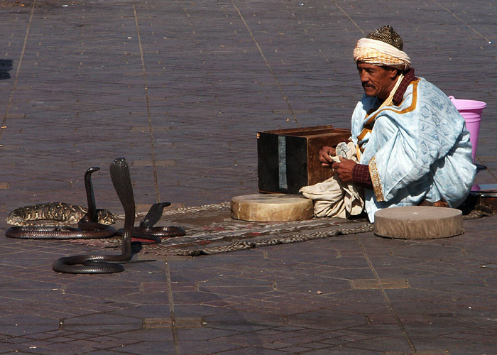PICT0399.jpg