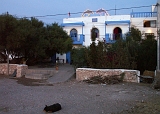 PICT0337