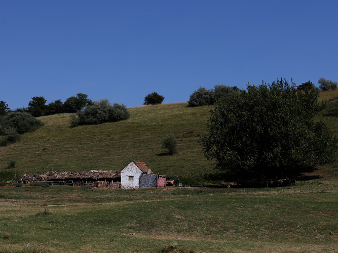 IMG_4354.jpg