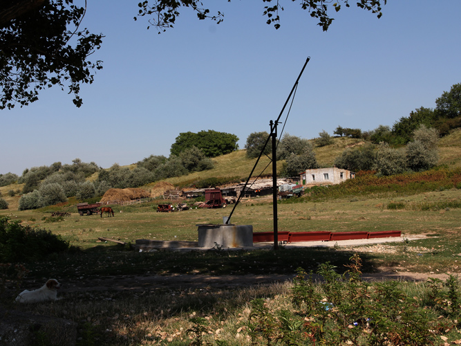 IMG_4355.jpg