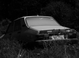 IMG_4351