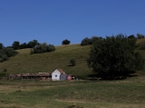 IMG_4354