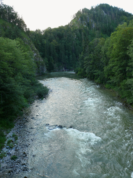 P111017345.jpg