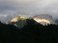 P1110354
