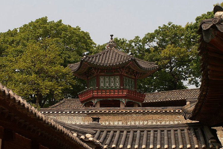 PICT0120.JPG