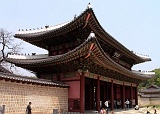 PICT0078