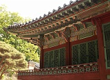 PICT0116