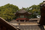 PICT0120