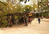 PICT0345