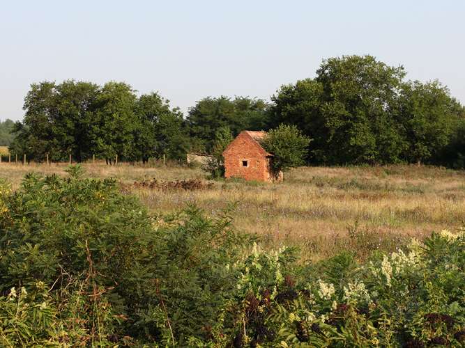 IMG_4401.jpg