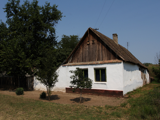IMG_4480.jpg