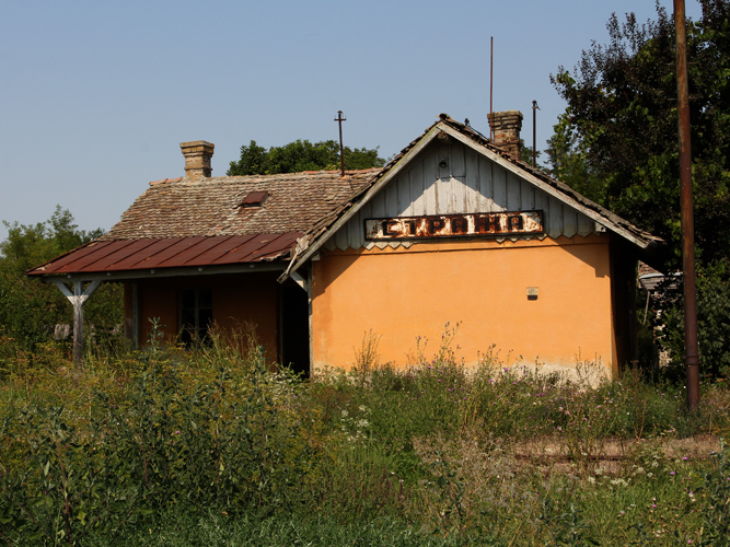 IMG_4491.jpg