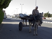 IMG_5964